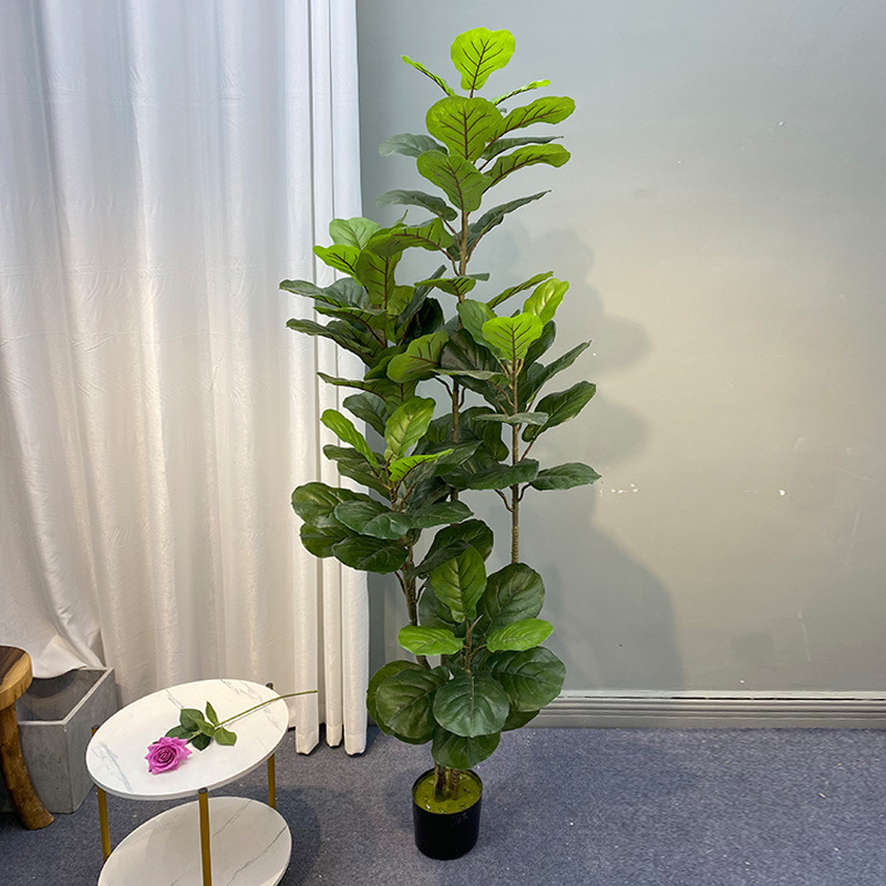 Home Office Layout - Árbol de Ficus grande de 59