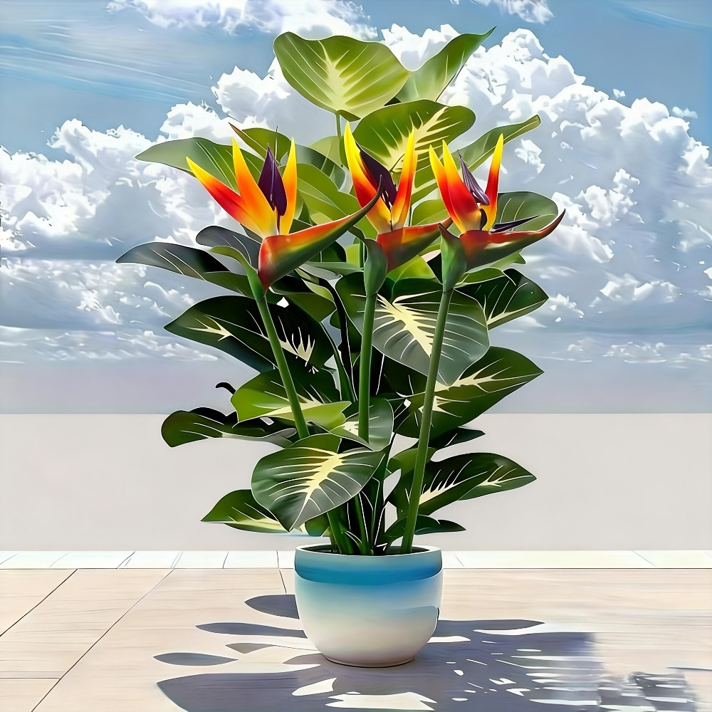 Home Office Layout - Plantas Artificiales de Ave del Paraíso