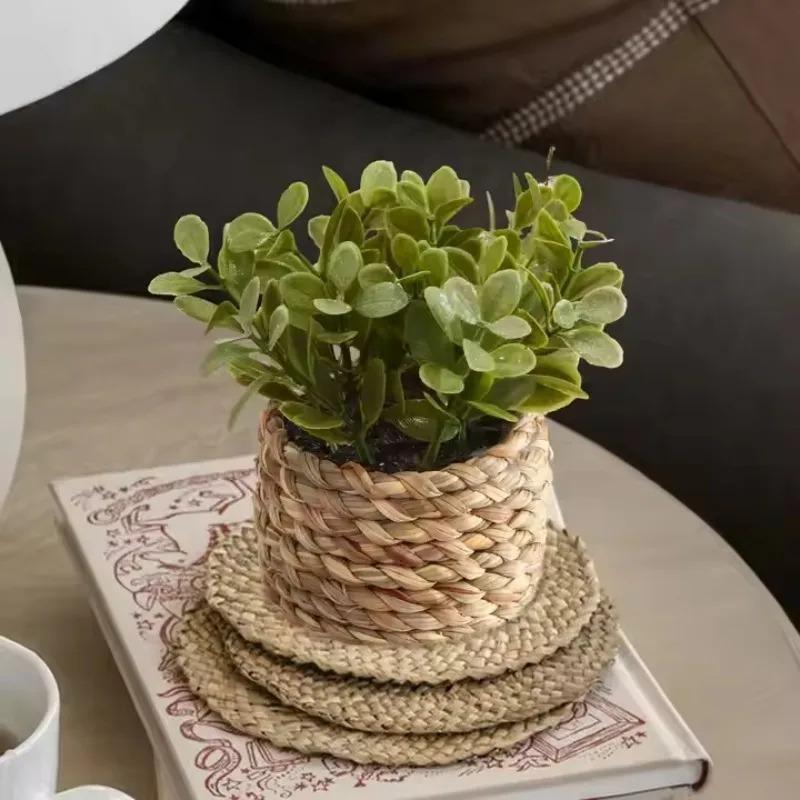 Home Office Layout - Planta en maceta pequeña, plantas falsas,