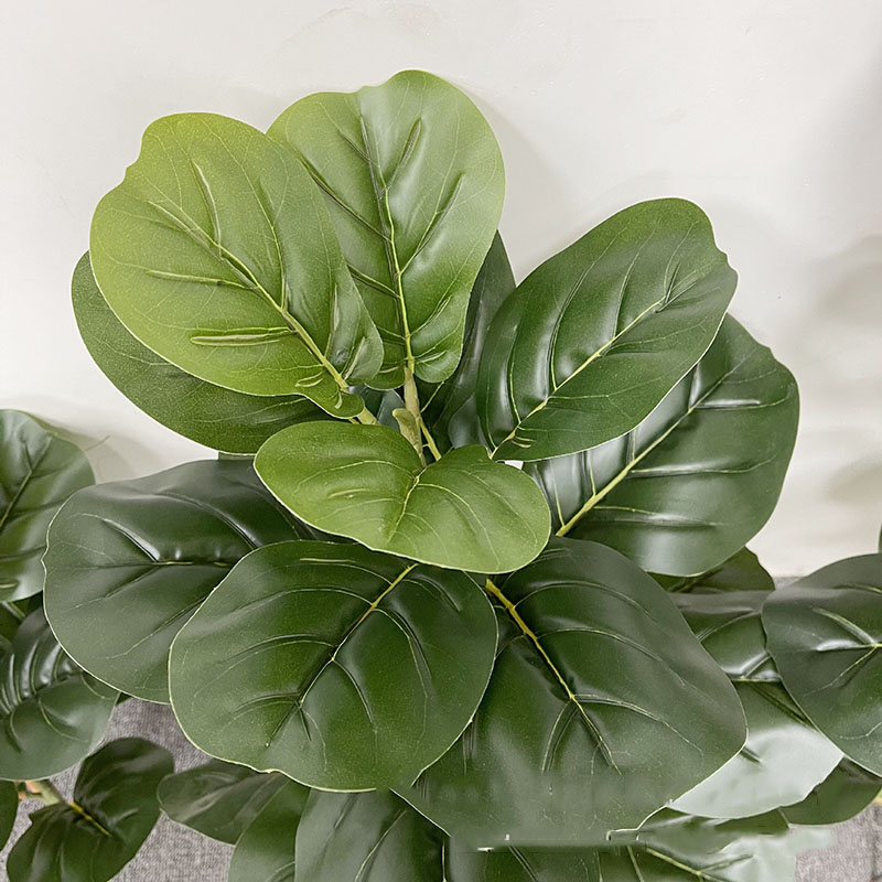 Árbol de Ficus grande de 59 pu - Home Office Layout reseña y precio