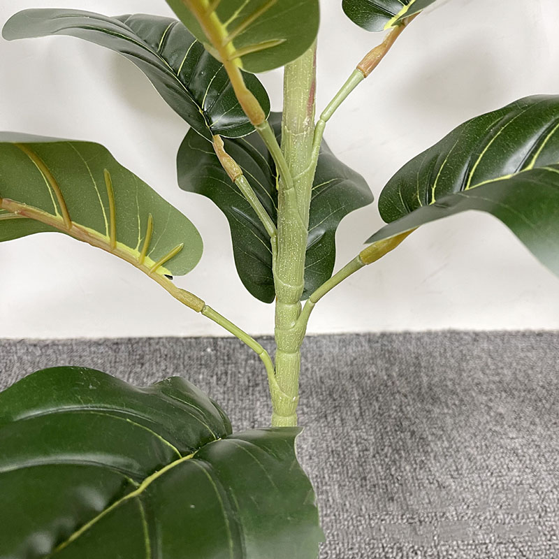Árbol de Ficus grande de 59 pu - Home Office Layout reseña y precio