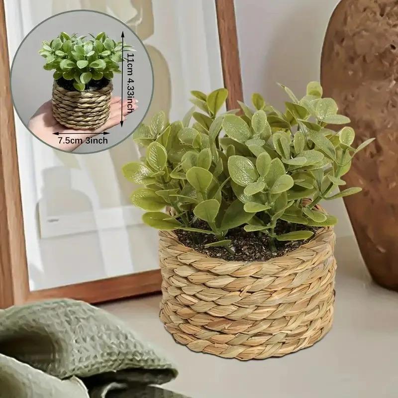 Planta en maceta pequeña, plan - Home Office Layout reseña y precio