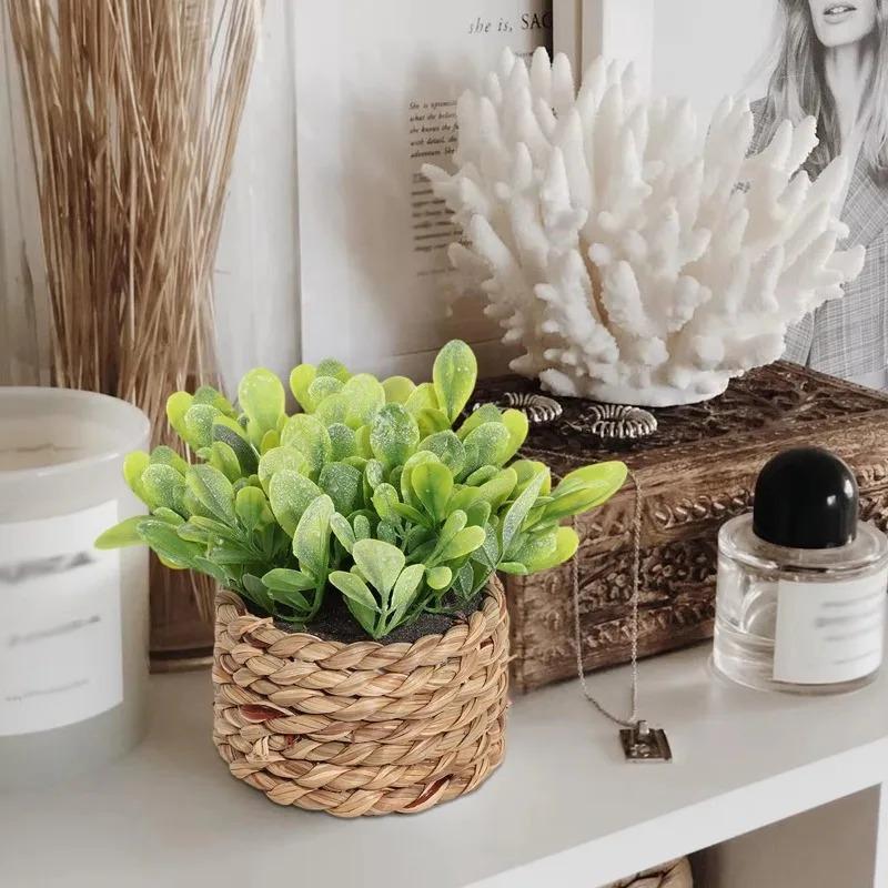Planta en maceta pequeña, plan - Home Office Layout reseña y precio