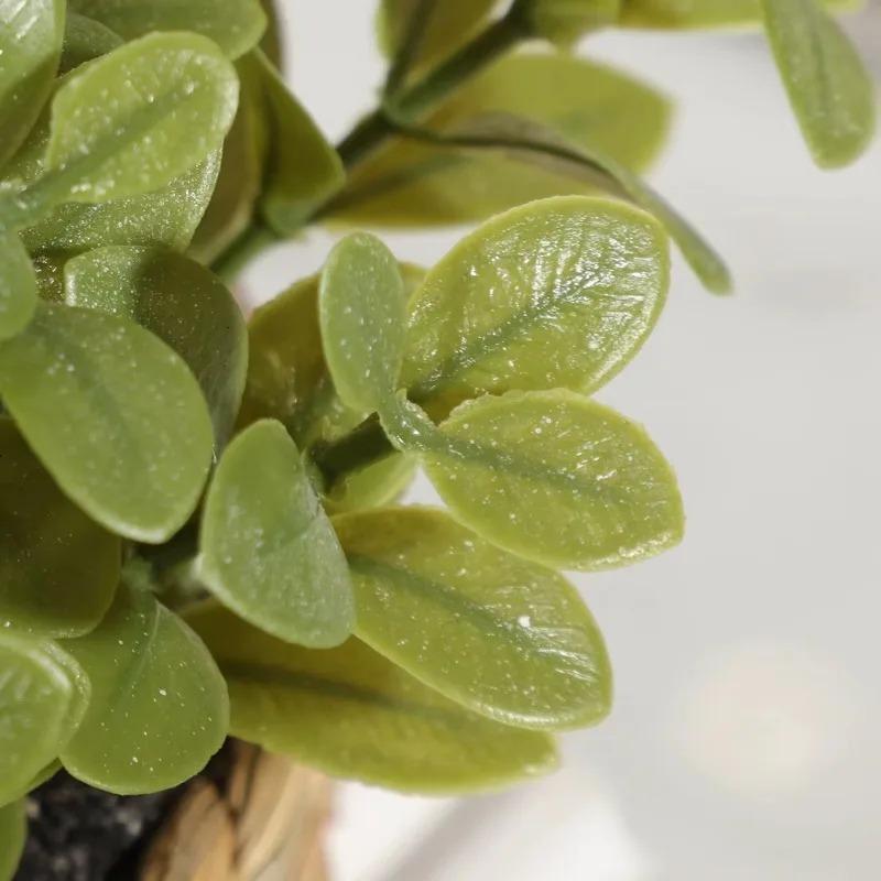 Planta en maceta pequeña, plan - Home Office Layout reseña y precio